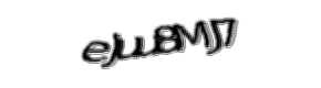 Security check image, please type the characters shown